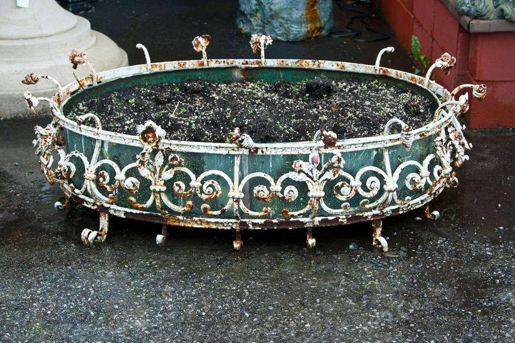 This oval, antique, hand forged iron planter has scrolling done in different patterns of flowers.  It has a galvanized oval inner liner for plantings.
This wrought iron planter is very ornate with twisted wires of flowers all around the perimeter. 