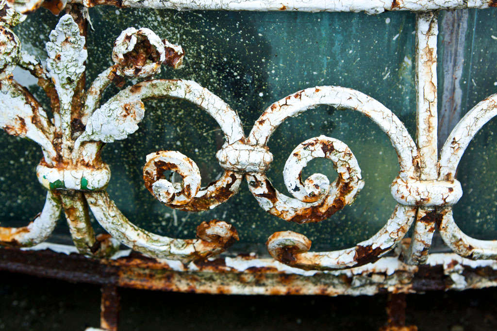 19th Century Antique Decorative Wrought Iron Oval Planter