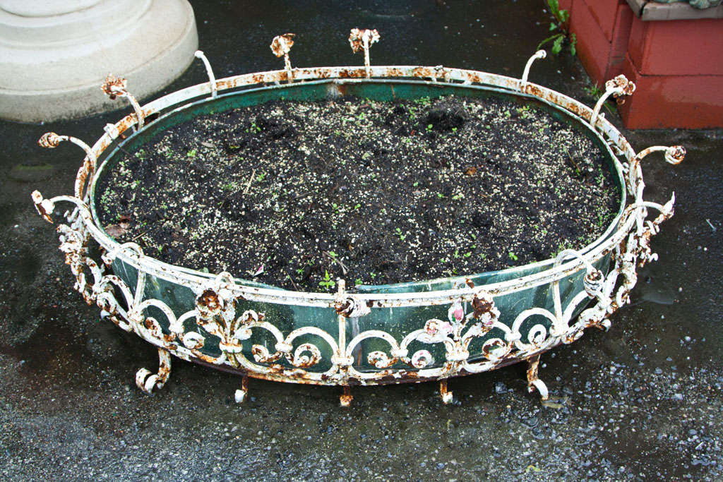 Antique Decorative Wrought Iron Oval Planter 2