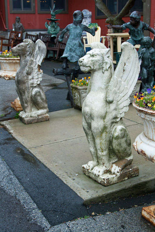 Add a touch of whimsy and beauty to your home or garden with this beautiful pair of stone gargoyles.  Use them at an entrance way as the guards to yor home.  These figures are large, gothic style stone figures that are mythical, magical, and bring