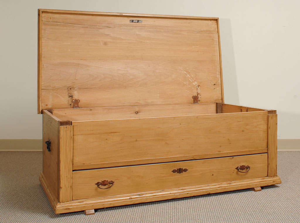 Dutch Mule Chest