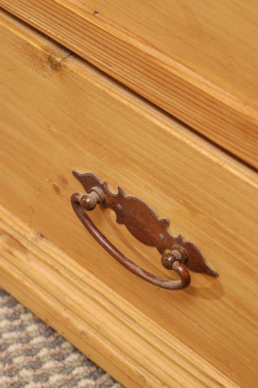 19th Century Mule Chest