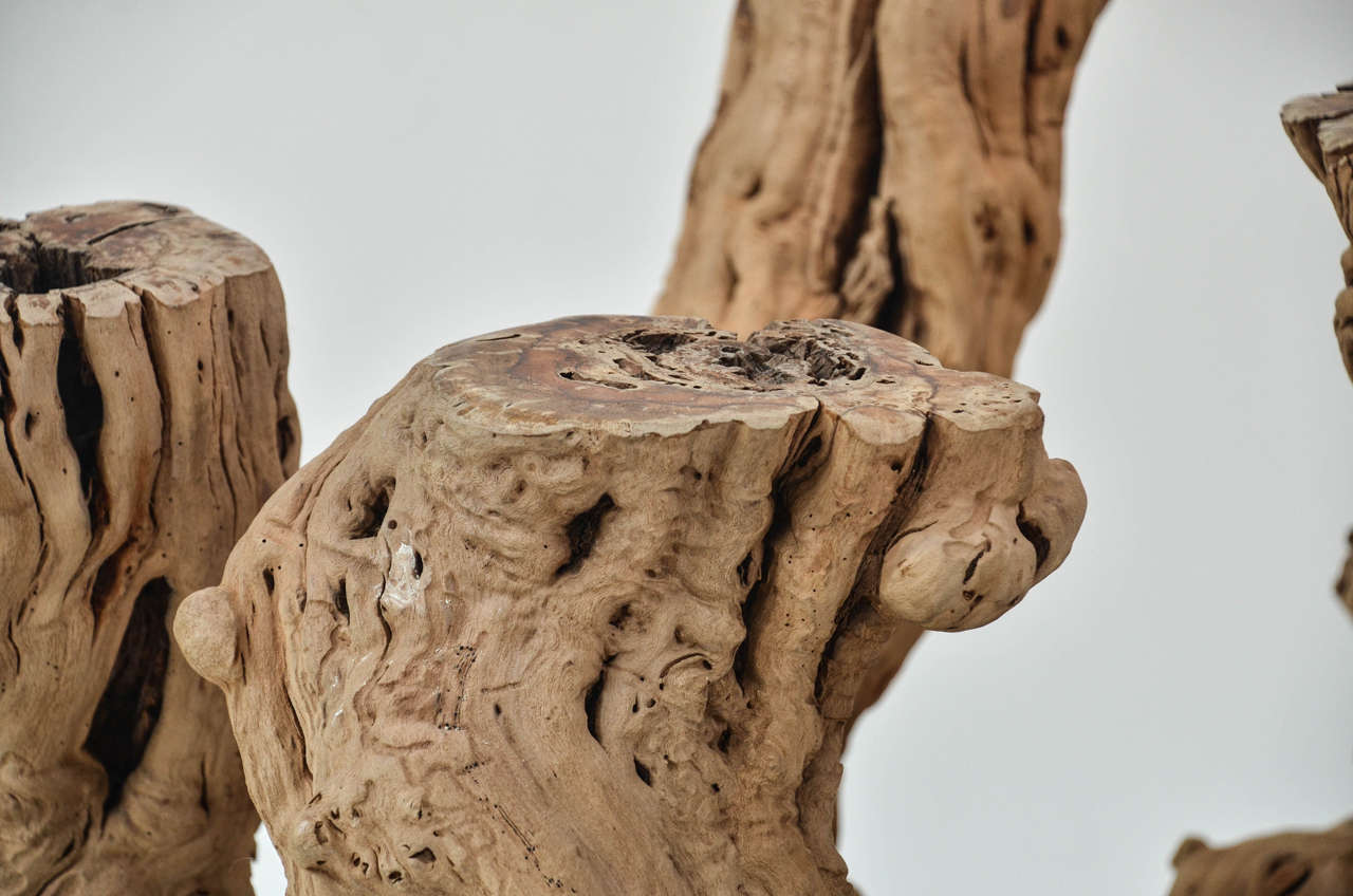 driftwood table legs