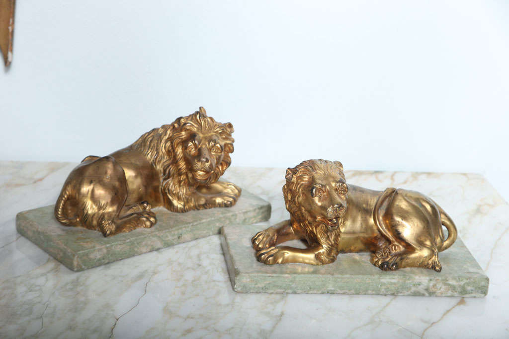 Fine pair of gilt bronze lion and lioness on marble bases, Italy. (Measurements inclusive of marble bases).