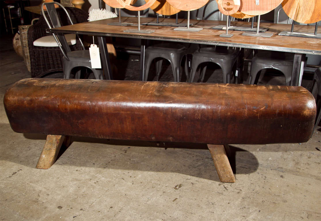 Pommel Horse Bench 2