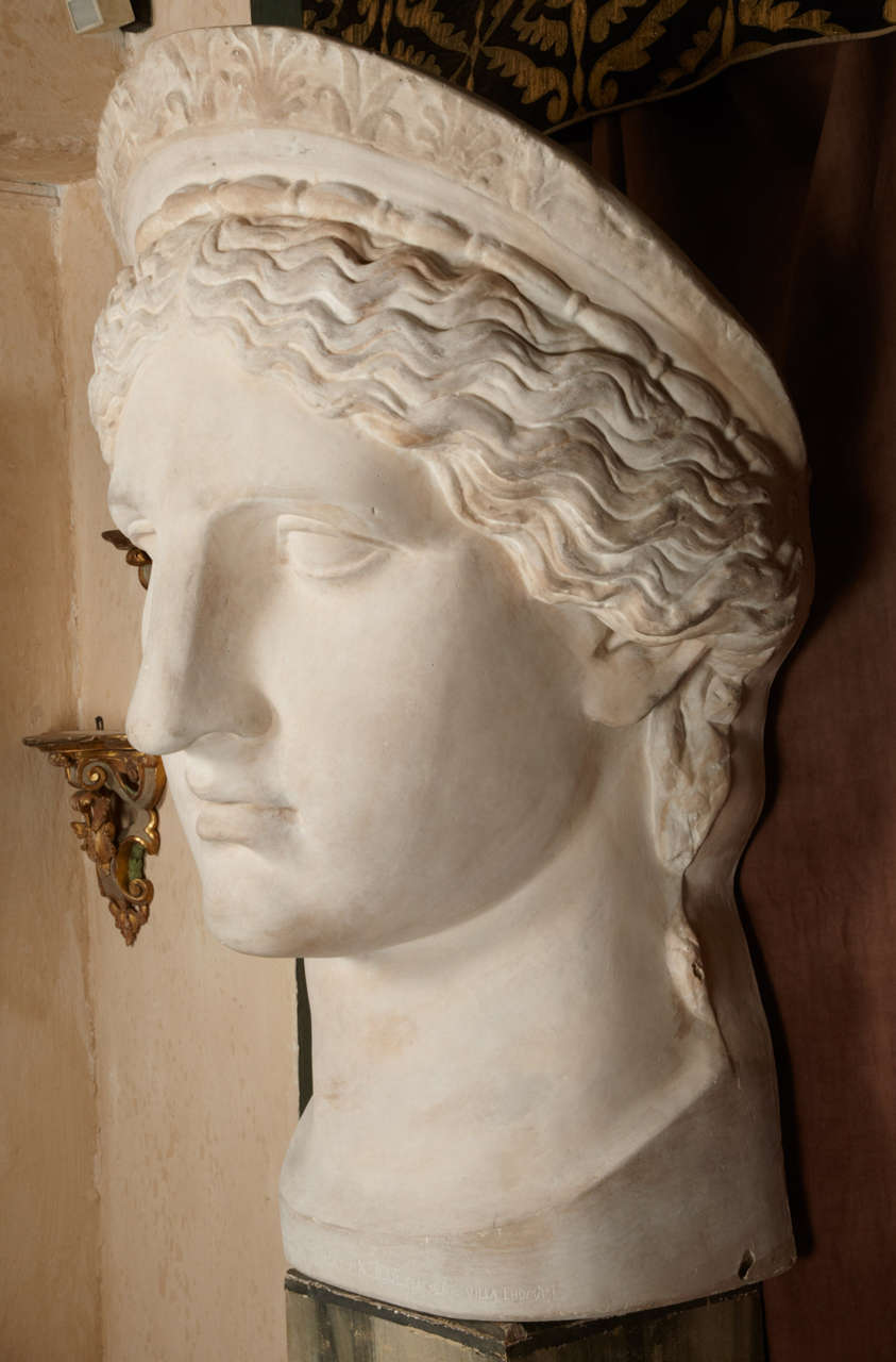Monumental Head of the "Juno Ludovisi" at 1stDibs
