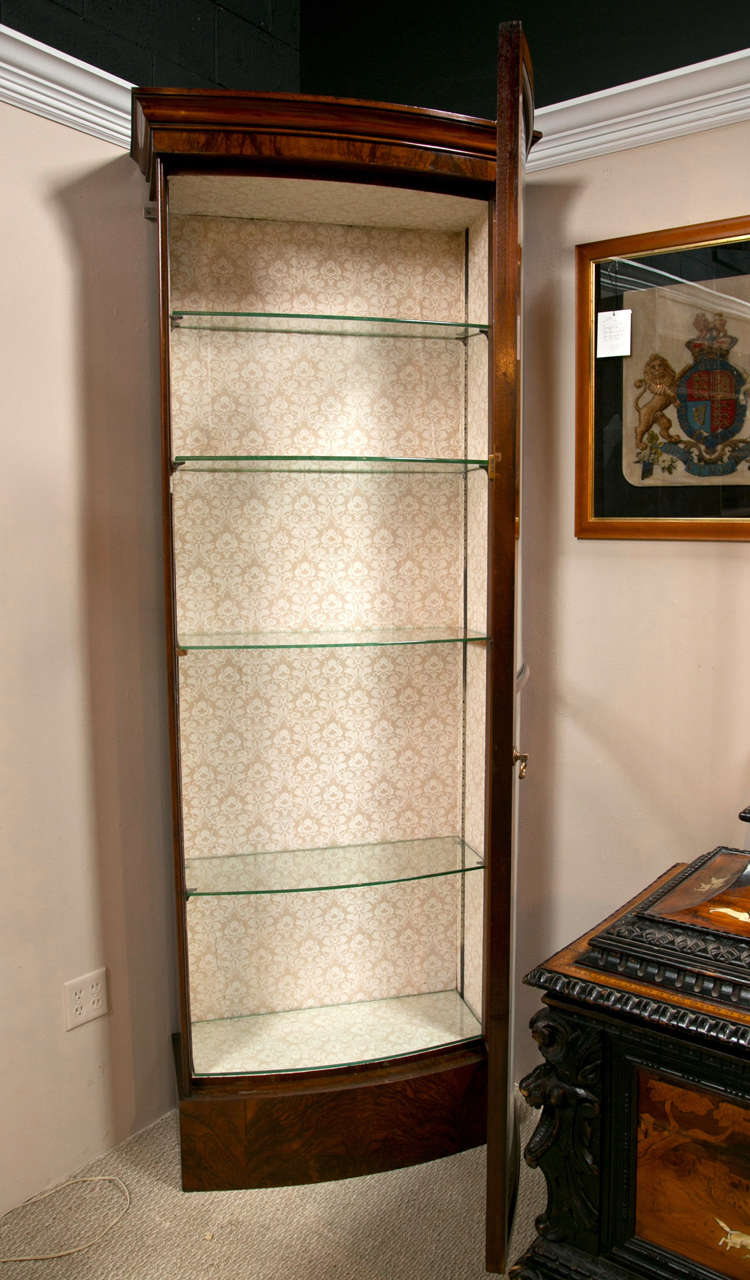 19th c Vitrine / Bookcase with Glass Door 3