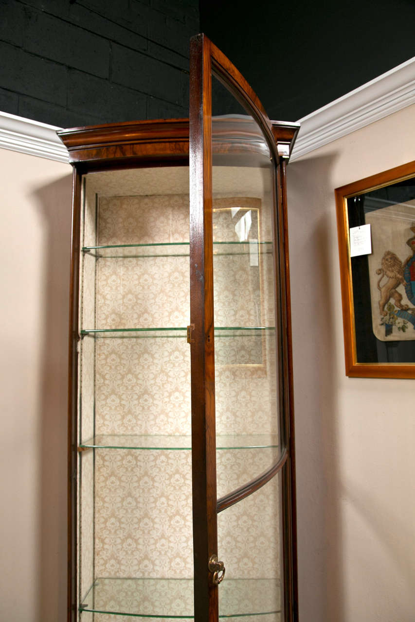 19th c Vitrine / Bookcase with Glass Door 4
