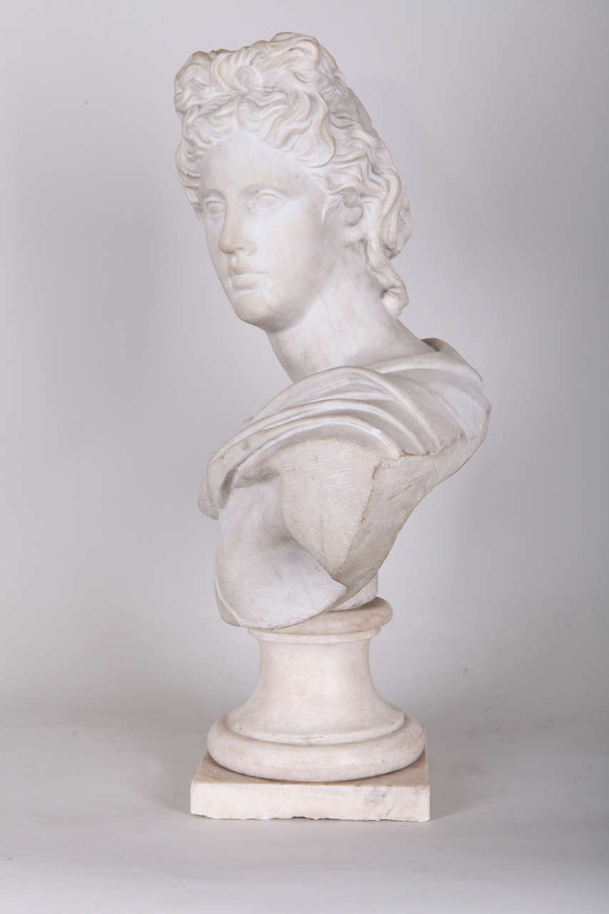 Italian Murble bust