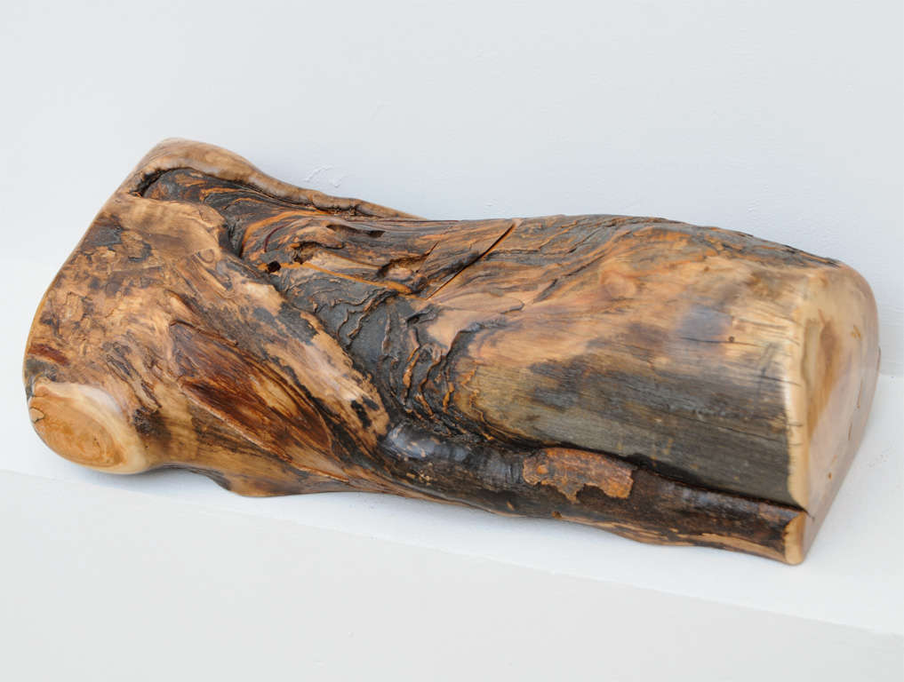 American Artisan Burl Wood Log 