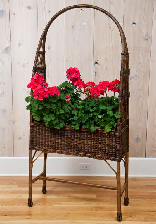Antique wicker birdcage planter with woven feet, diamond pattern and lattice work design.
