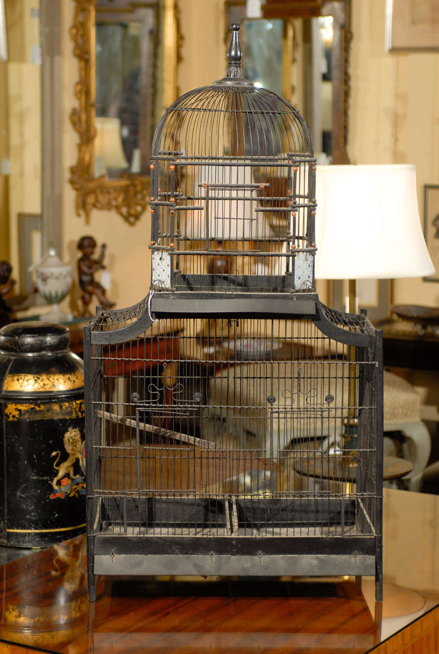 20th Century Victorian Bird Cage