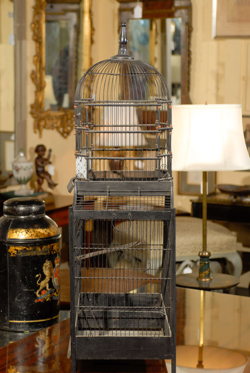 Glass Victorian Bird Cage