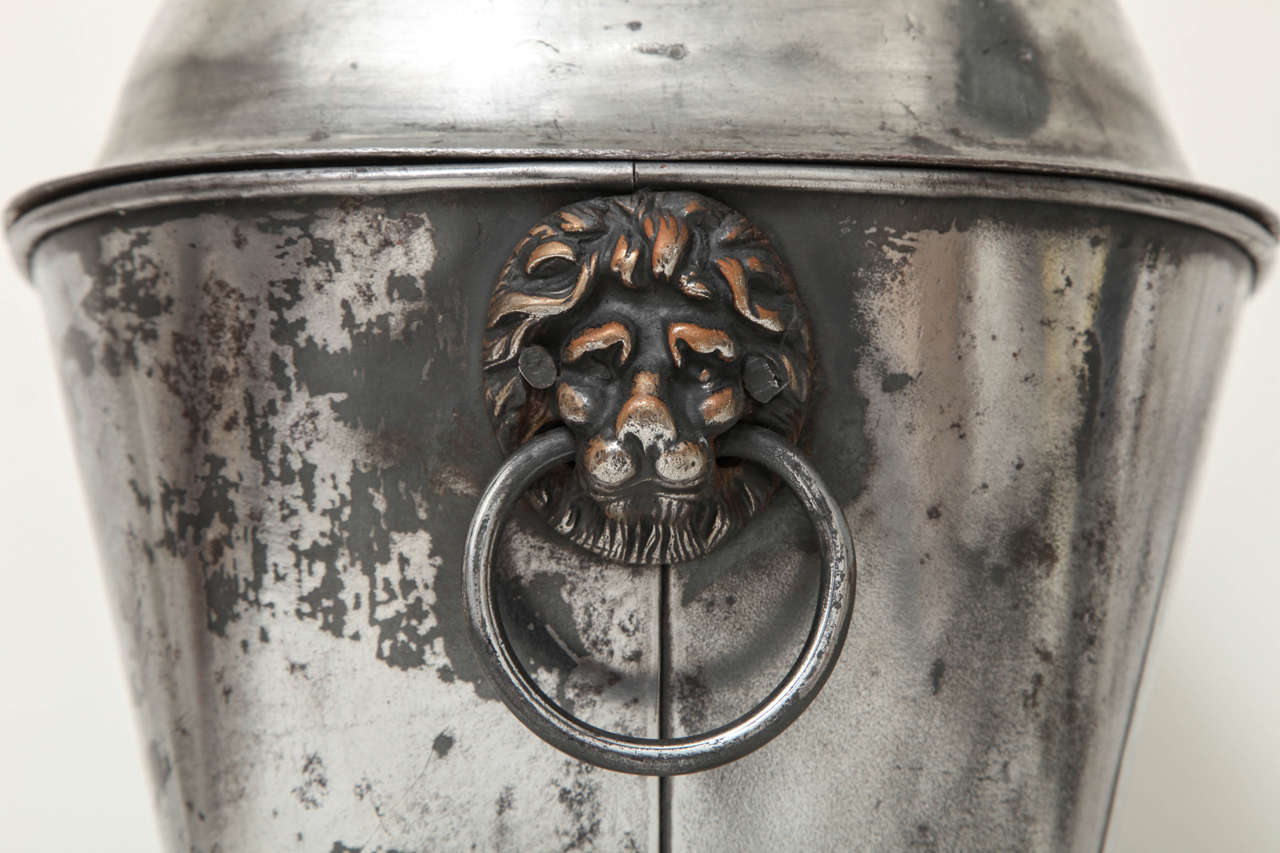 A 19th century English Regency polished steel coal scuttle with ringed lion's mask handles and removable insert