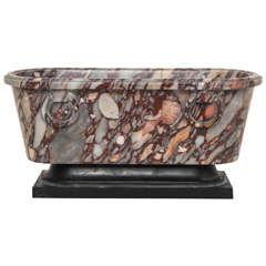 A 19th Century Italian Neoclassic Marble Bath