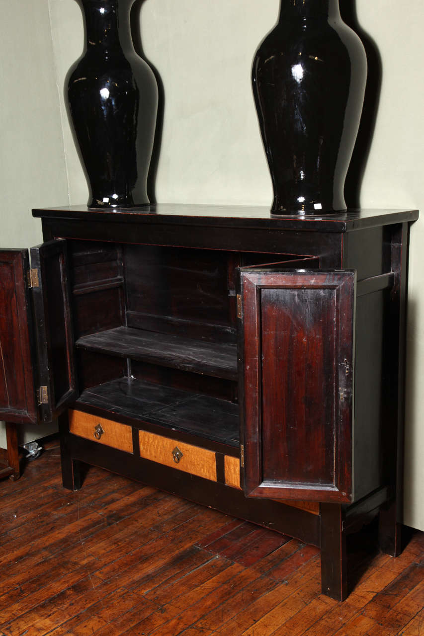 Late Qing Dynasty Black Lacquer and Burl Wood Cabinet with Accordion Doors For Sale 1