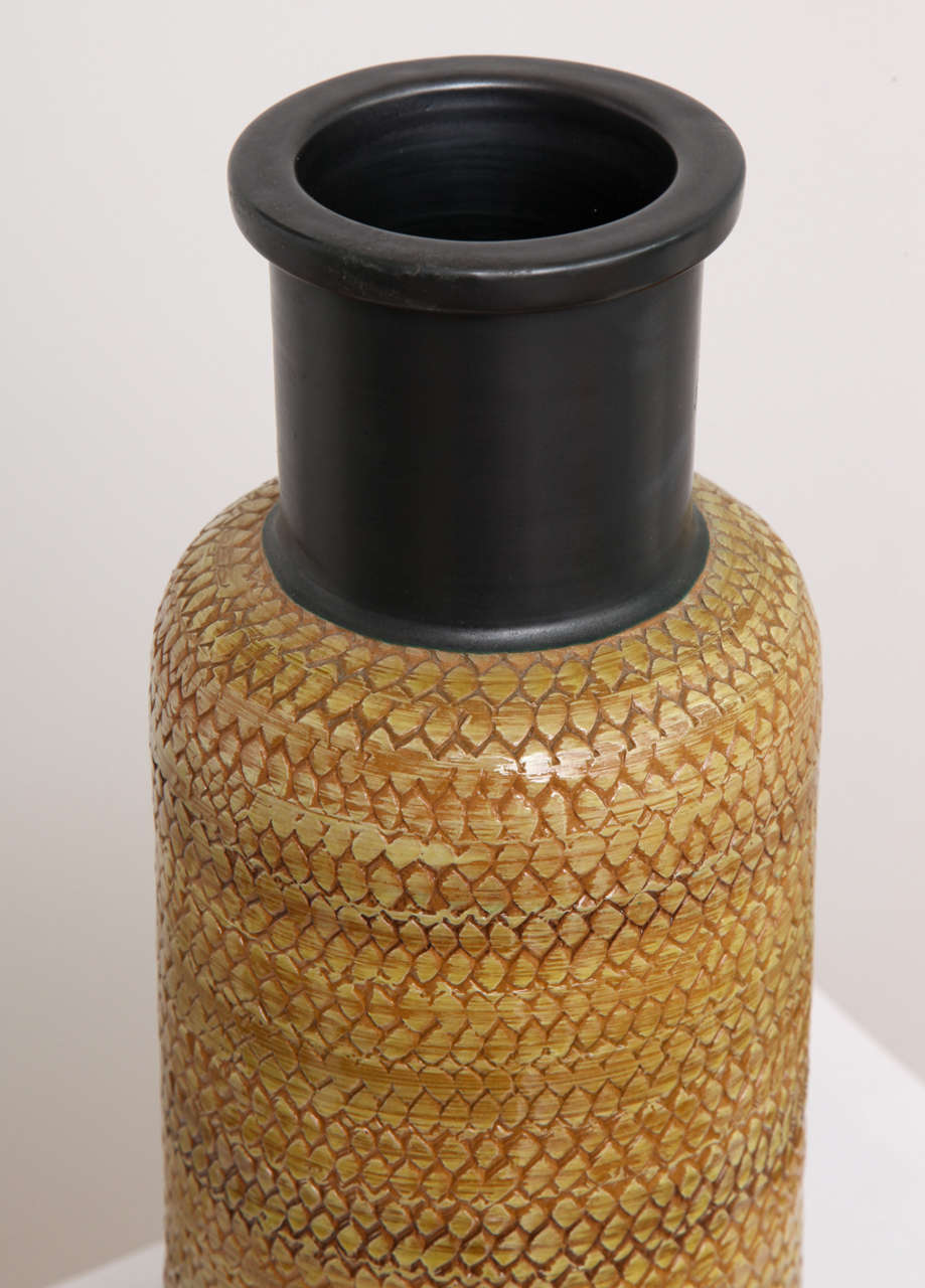 Mid-20th Century Large Bitossi Snakeskin Vase 