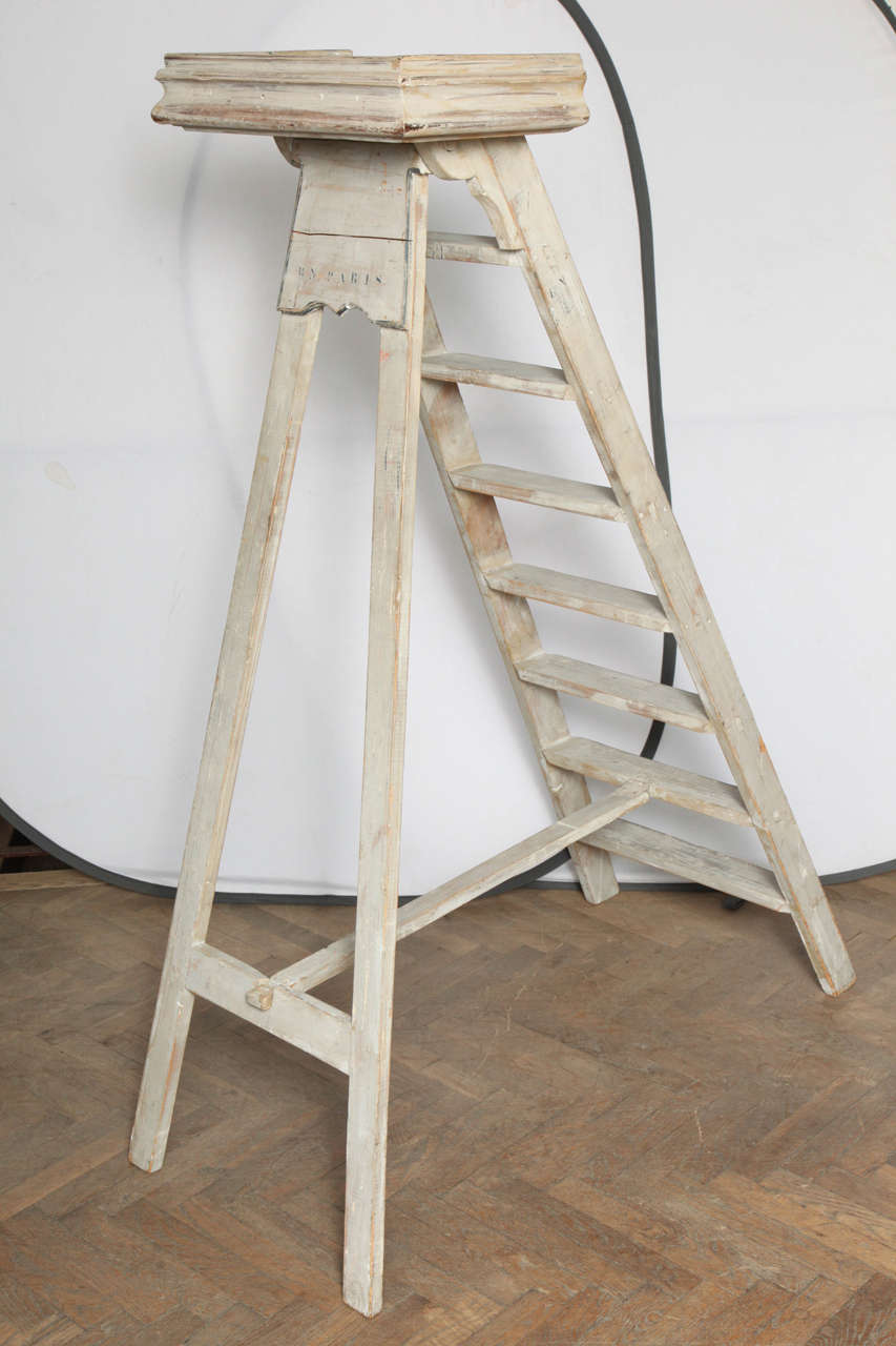 Large French Library Ladder 3