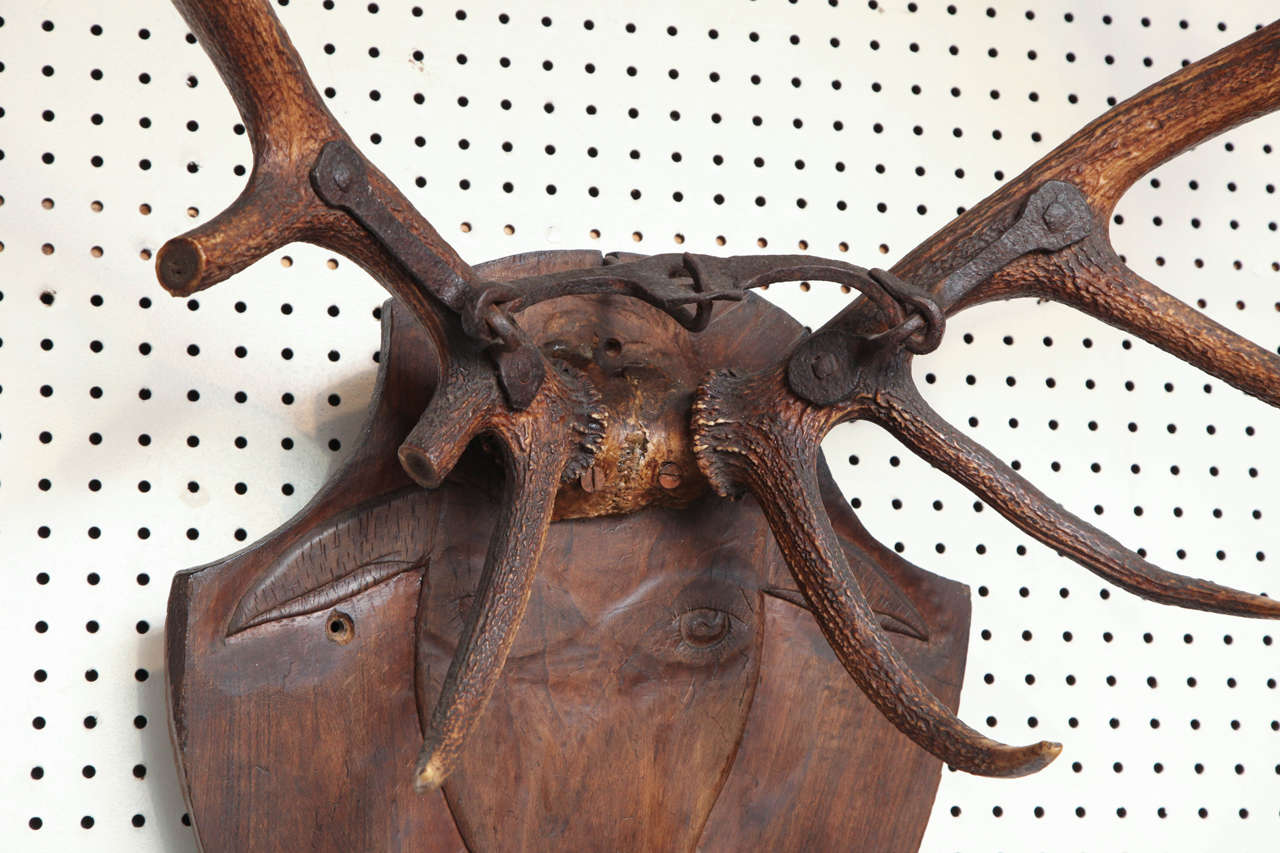 English Carved Head and Antlers 18th Century