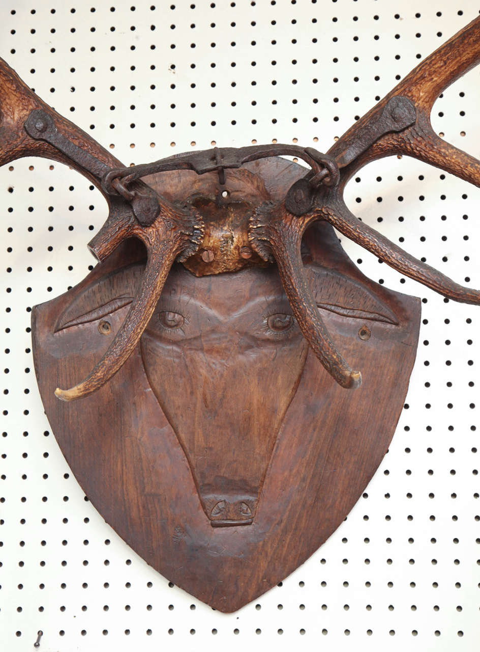 Carved Head and Antlers 18th Century In Good Condition In New York, NY