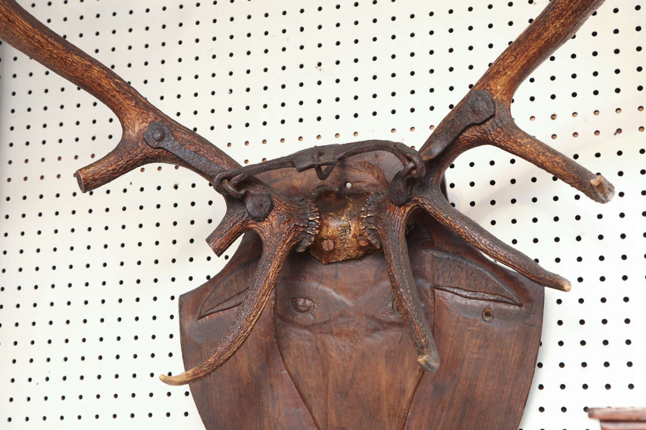 Carved Head and Antlers 18th Century 2