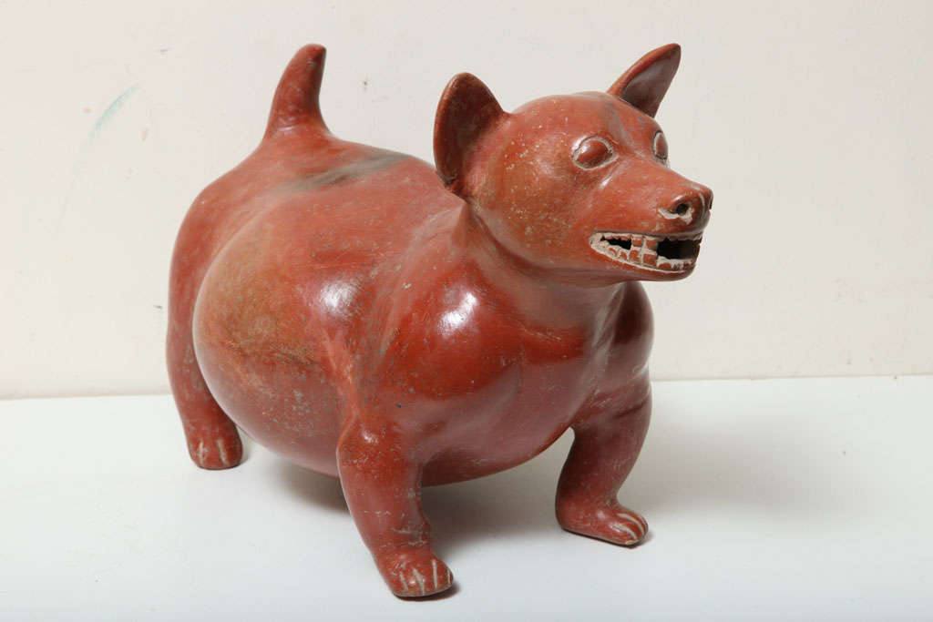 pre columbian colima dog