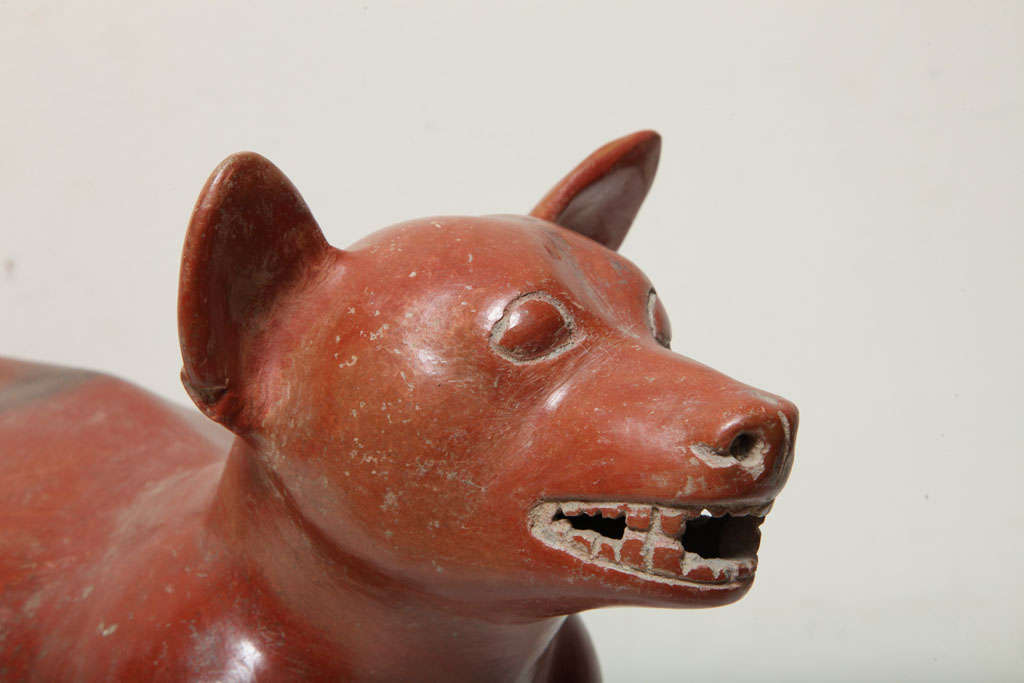 red colima dog statue