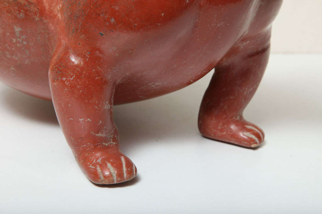 pre columbian animal pottery