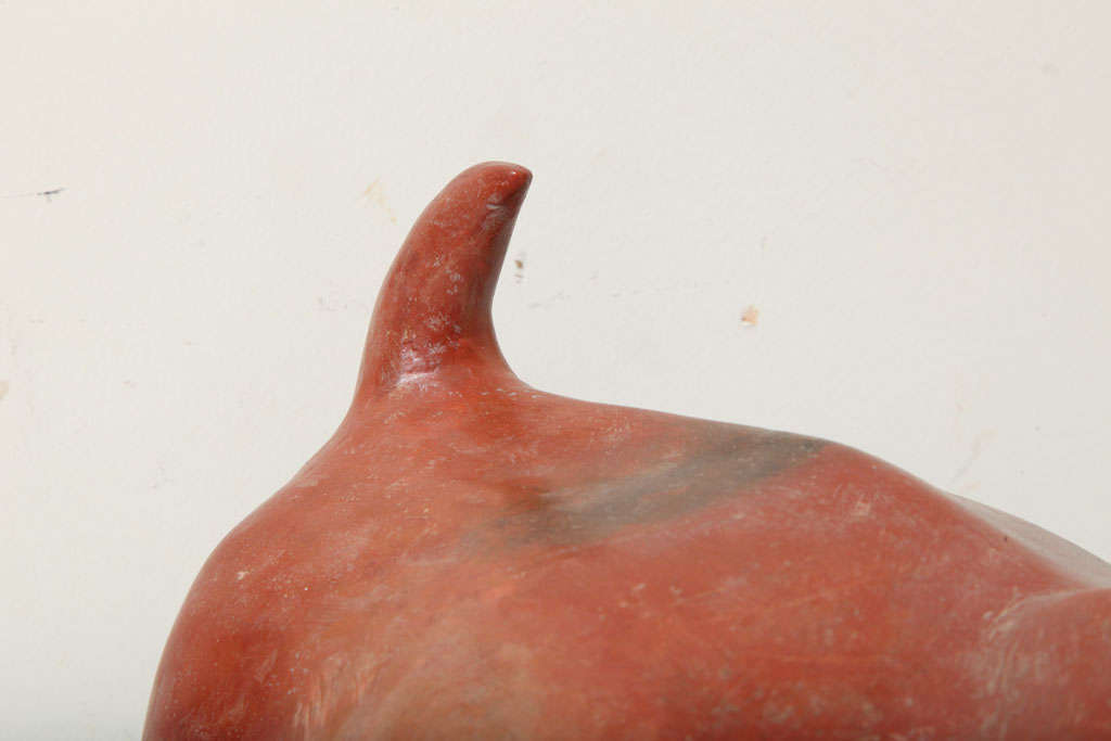 Mexican Pre Columbian Fine Large Colima Pottery Dog
