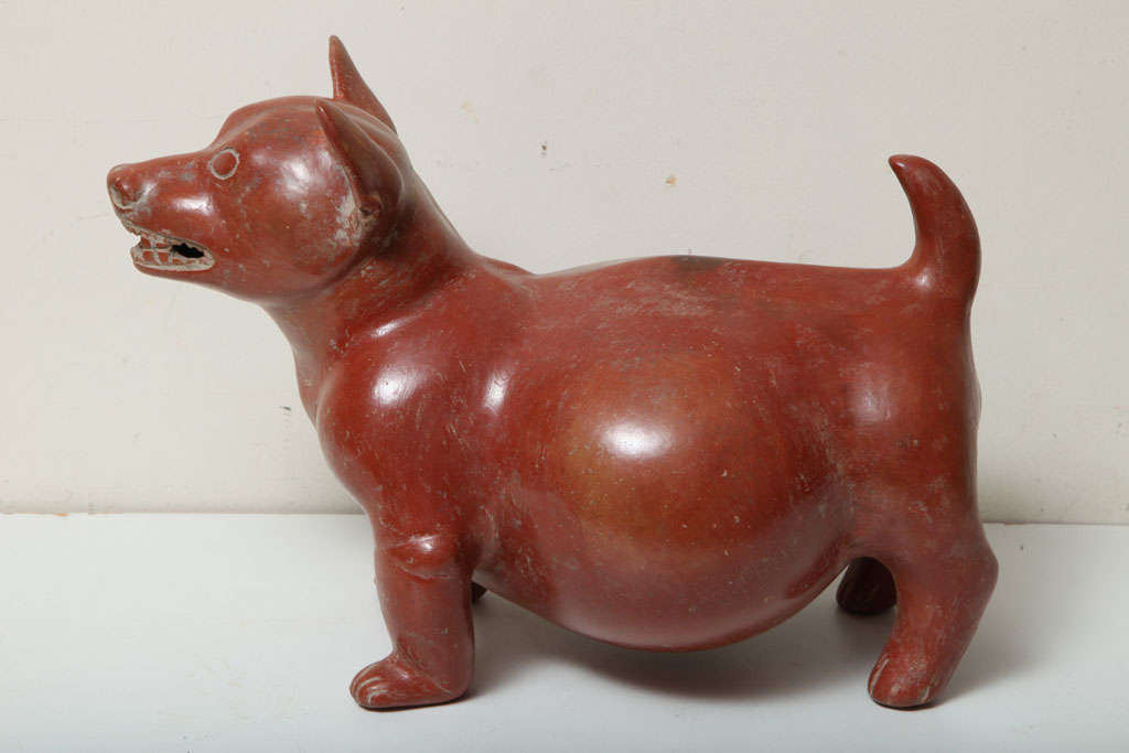 Pigment Pre Columbian Fine Large Colima Pottery Dog