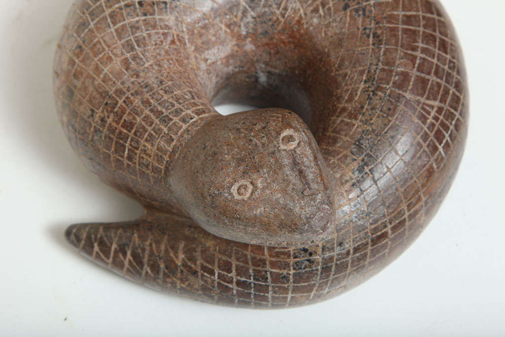 Pre Columbian Fine Colima Pottery Snake For Sale 1