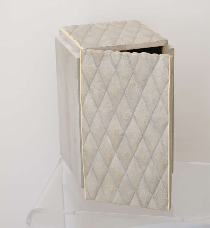 R and Y Augusti Jewelry Box in Shagreen 1