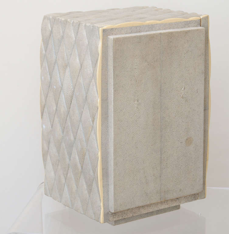 R and Y Augusti Jewelry Box in Shagreen 2