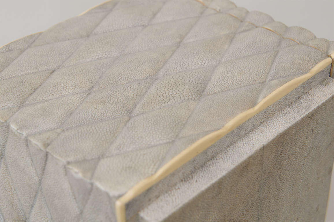 R and Y Augusti Jewelry Box in Shagreen 3