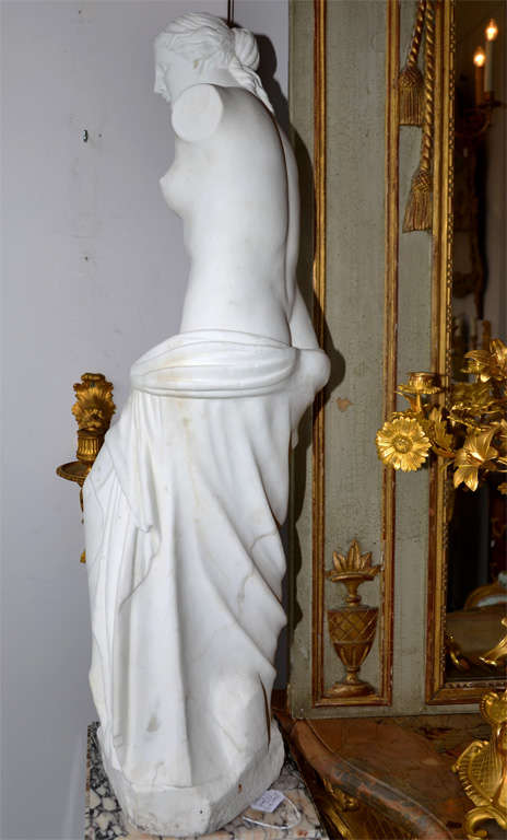 French Statue In Carrare Marble Representing  Venus De Milo For Sale