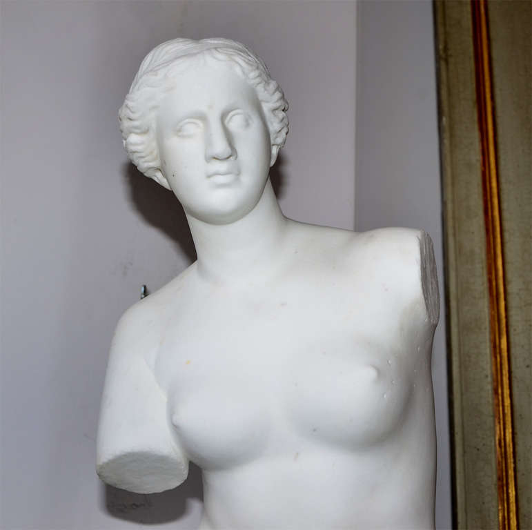 19th Century Statue In Carrare Marble Representing  Venus De Milo For Sale