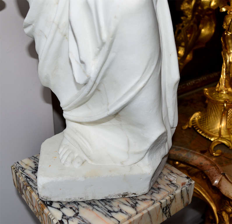 Statue In Carrare Marble Representing  Venus De Milo For Sale 1