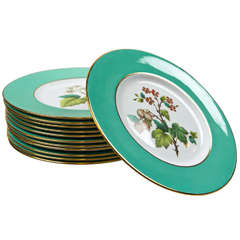 Set of 12 Spode Dinner Plates