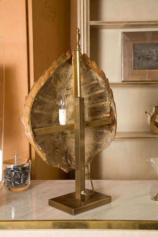 Tortoise Shell Lamp 2