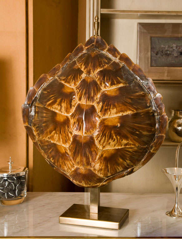 Tortoise Shell Lamp 6