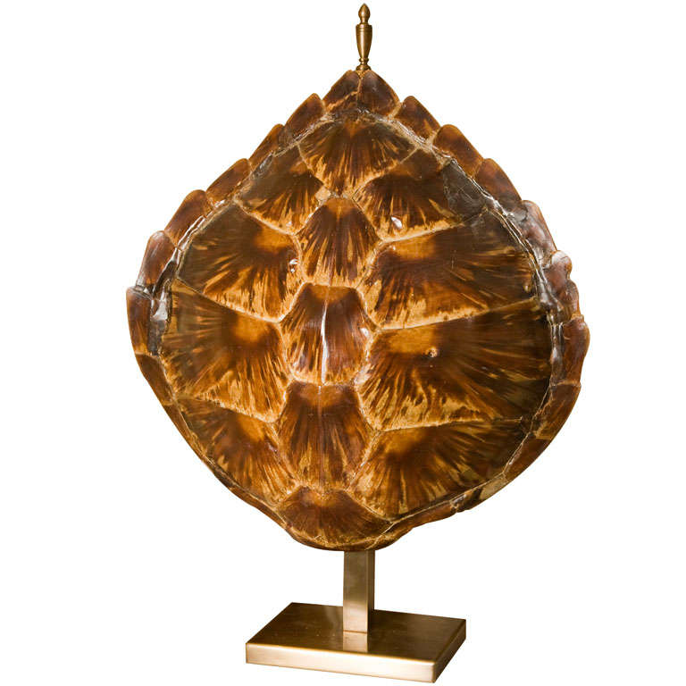 Tortoise Shell Lamp