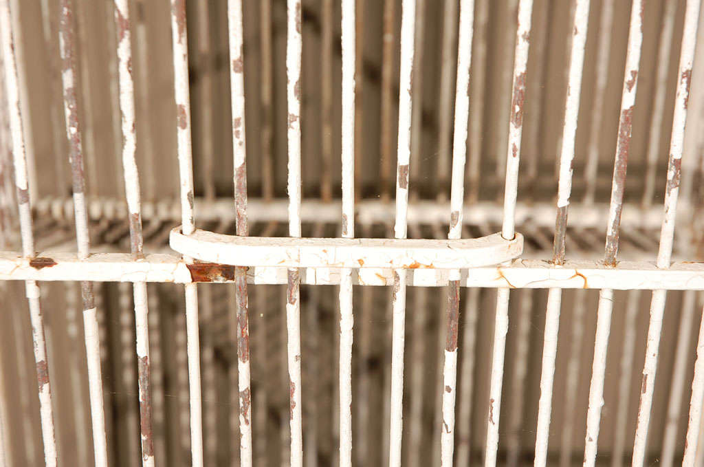 Vintage Bird Cage 4