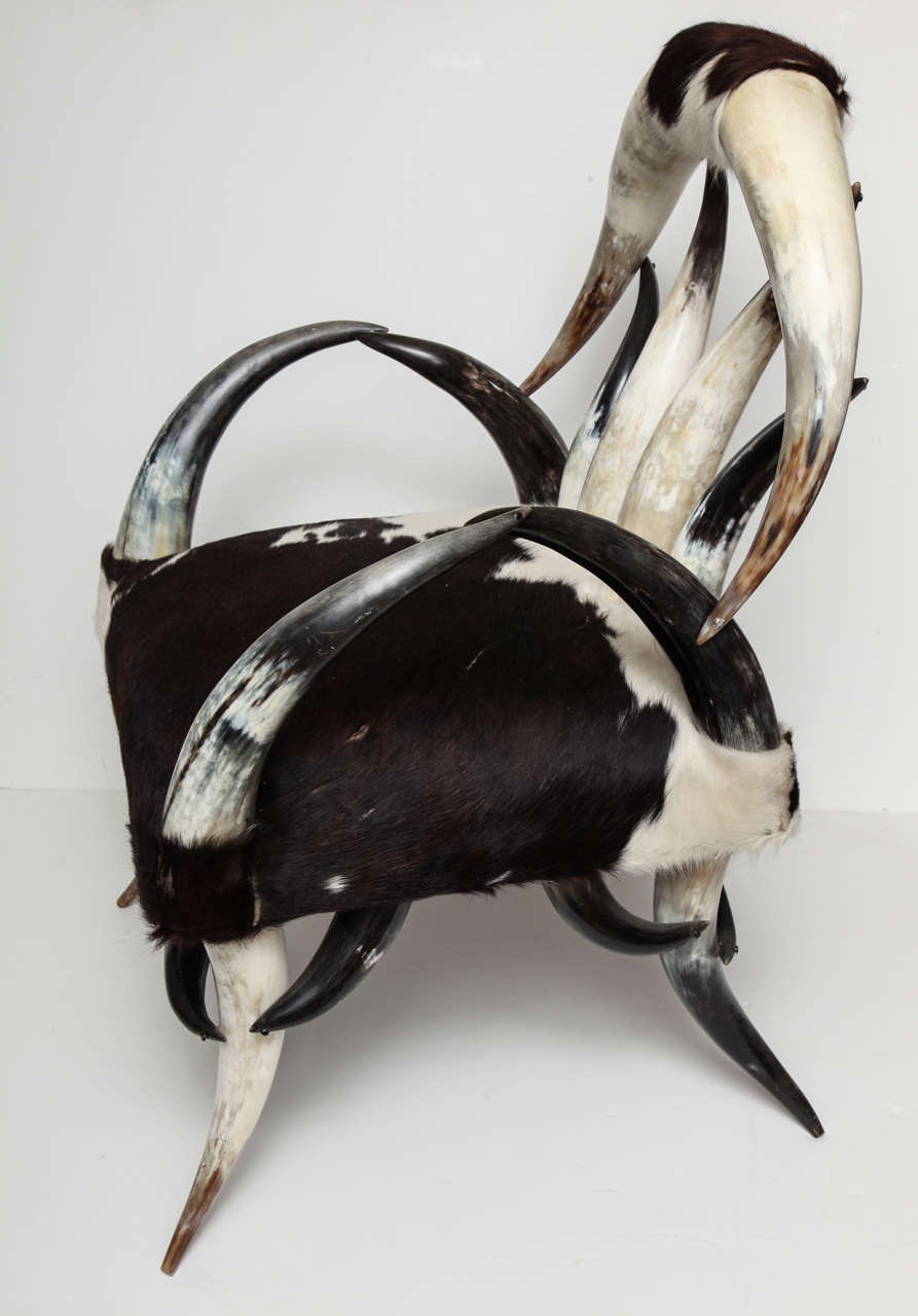 cow horn chair