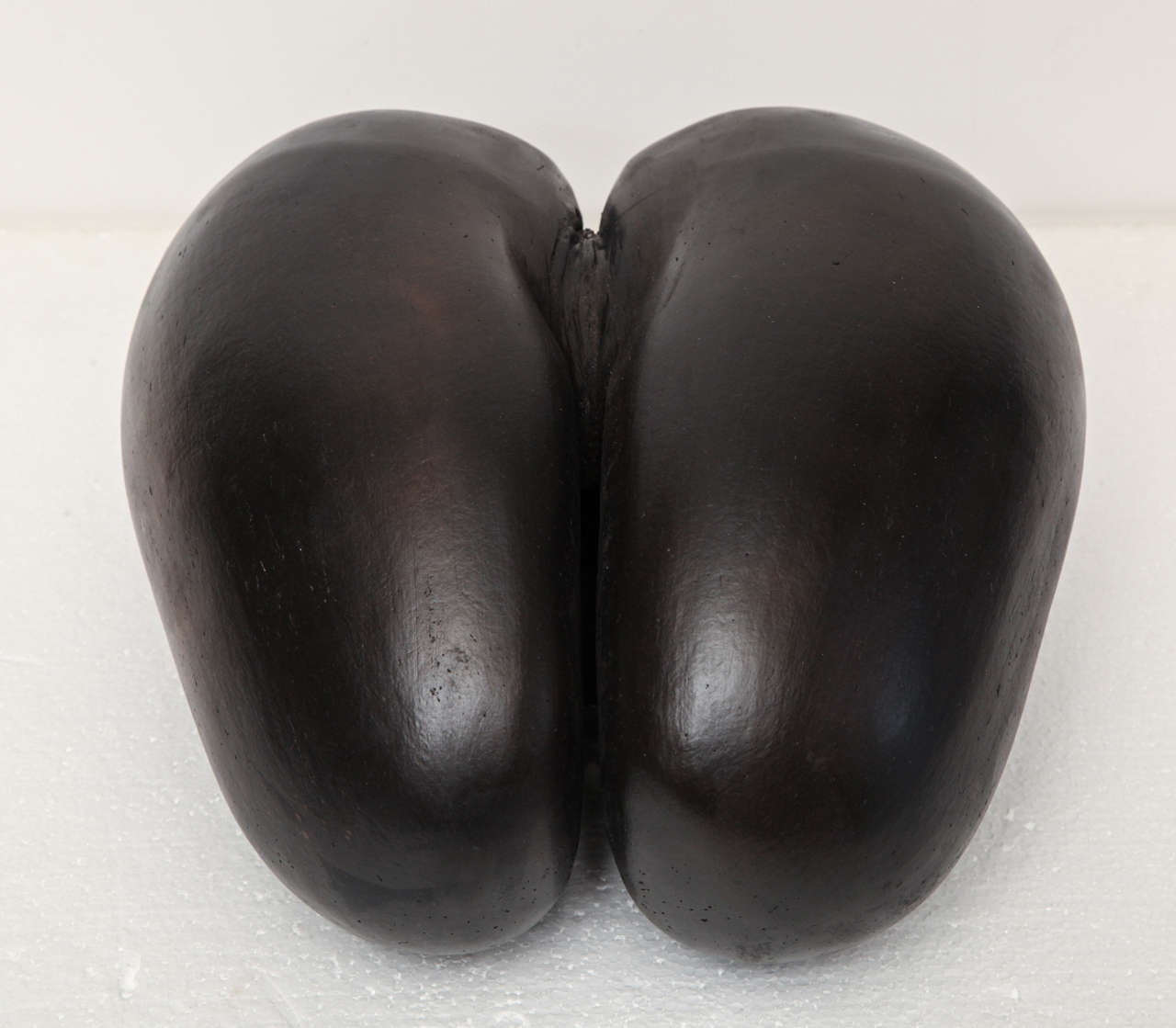 Coco de Mer, a Nut from the Seychelles