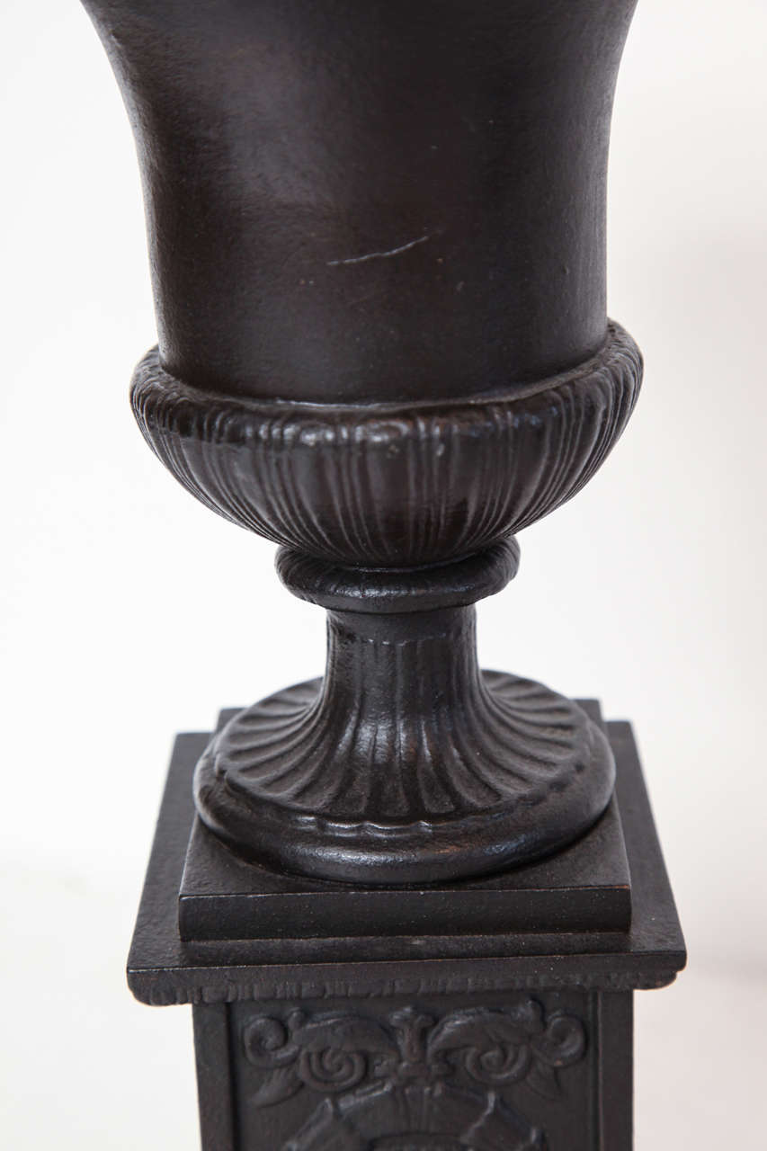 Pair of 19th Century Iron Neo-Classical Urns For Sale 2
