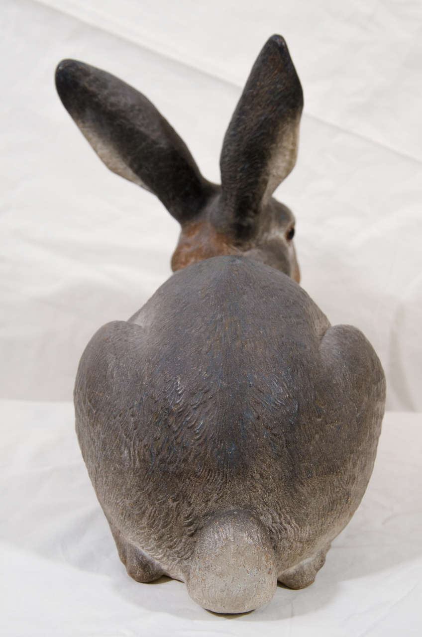 An Austrian Cold Painted Rabbit 2