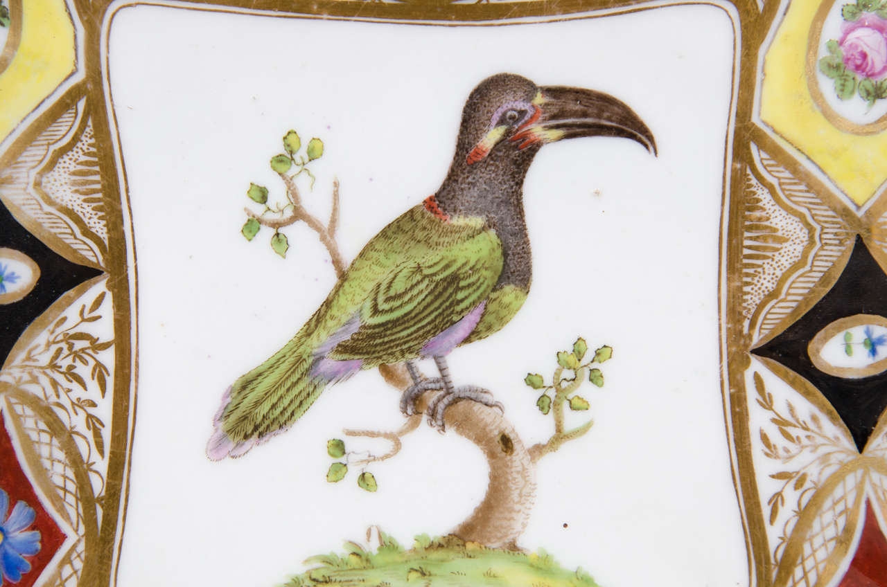 A Coalport Church Gresley Ornithological Dish