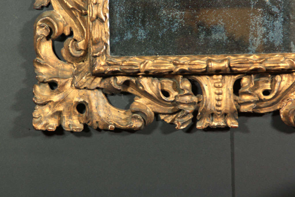 Italian Carved   Gilt Wood Roccoco Style Mirror For Sale