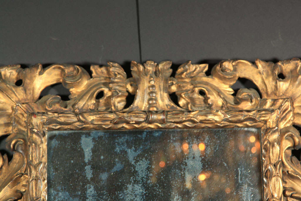 Hand-Carved Carved   Gilt Wood Roccoco Style Mirror For Sale