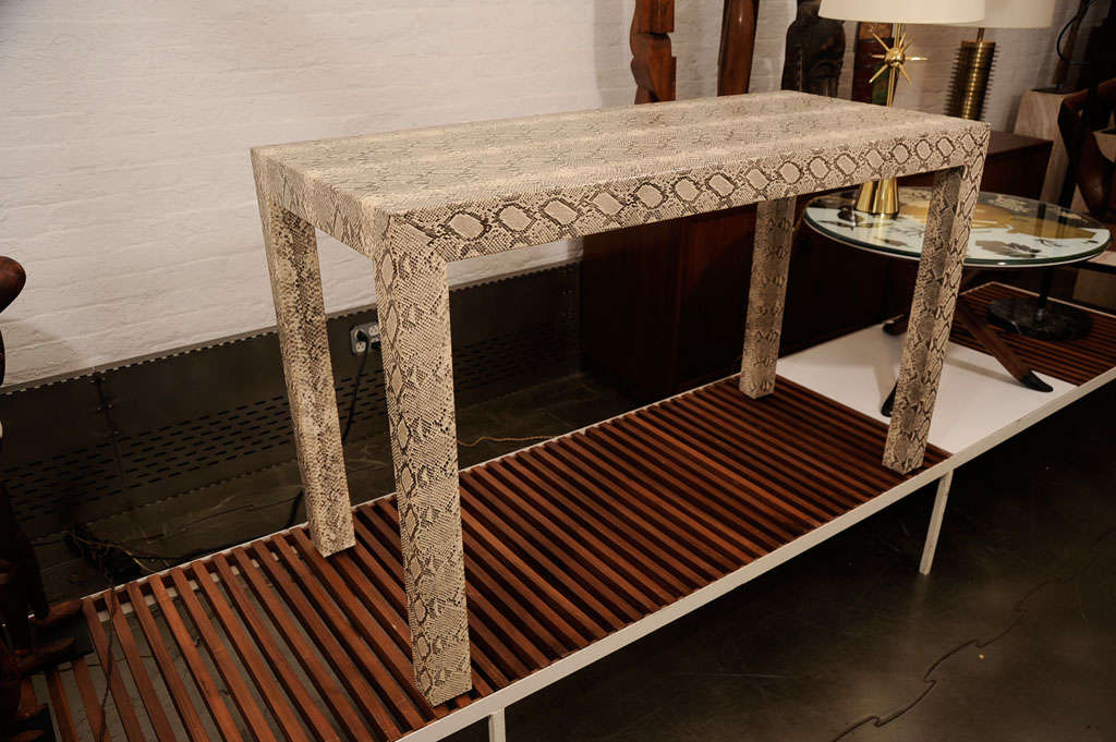 Snake Skin Console 1